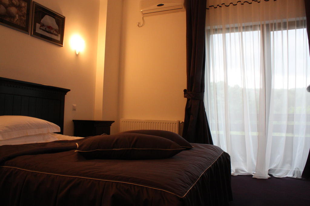 Pensiunea All Seasons Iasi Room photo